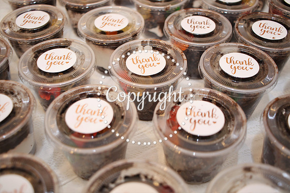 1A9A1225_Bridal Shower