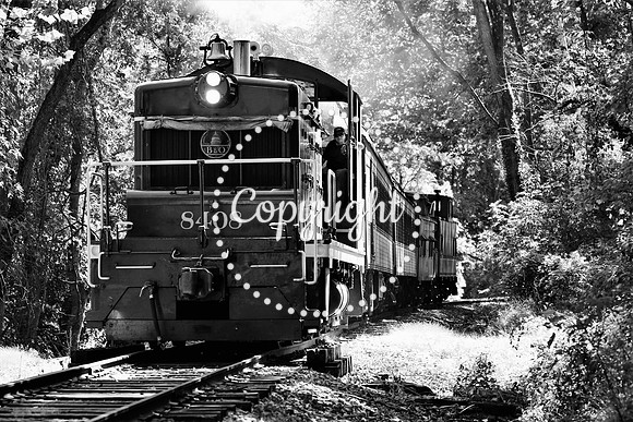 IMG_1229 WWRR BW** Limited Edition