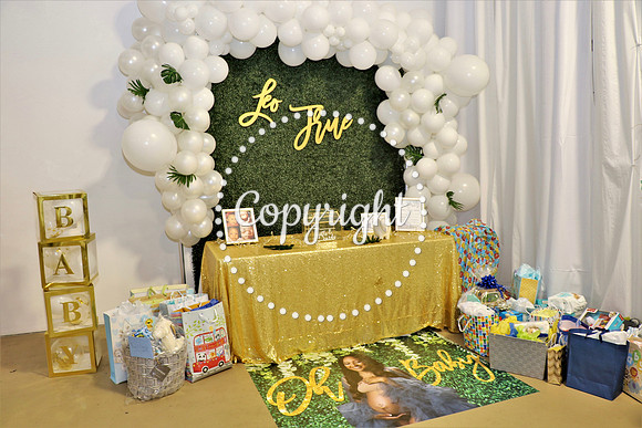 IMG_9042_Baby Shower Celebration