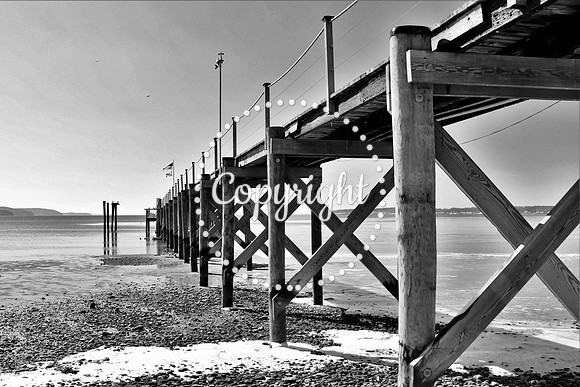 IMG_7530_Charlestown Wharf, MD