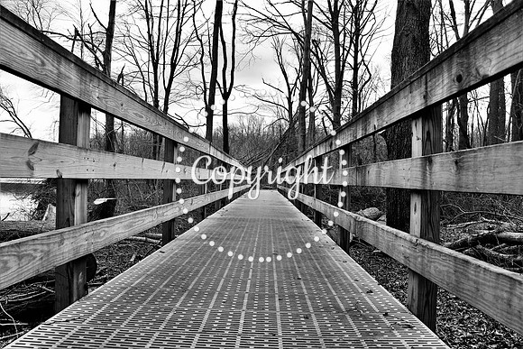 IMG_7173_Lums Pond State Park, Bear, DE