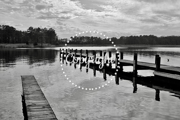 Eastern Neck National Wildlife Refuge - Bogles Wharf II