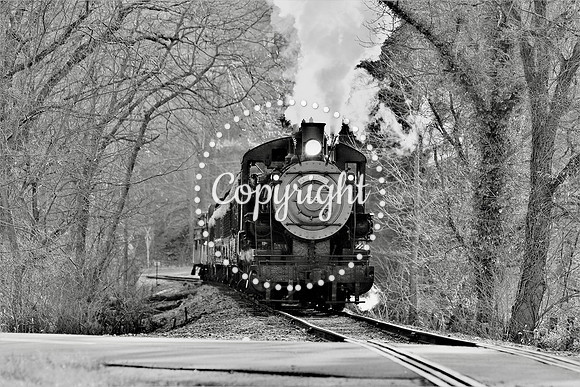 IMG_6913 WWRR Steam BW** Limited Edition