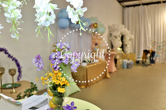 IMG_9055_Baby Shower Celebration