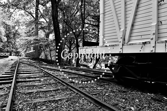 IMG_9326 Hagley BW Train
