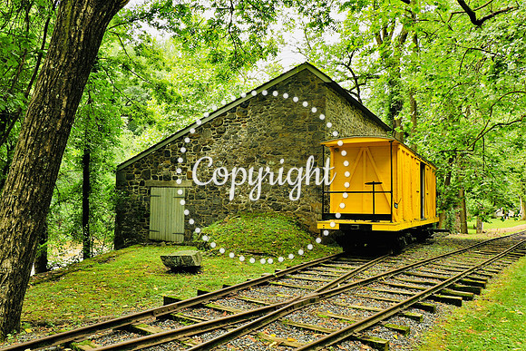 IMG_9327 Hagley Yellow Train
