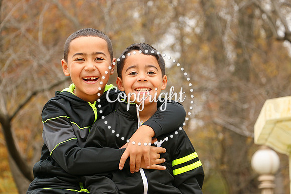 Brothers in Autumn