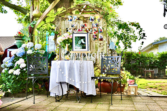 IMG_0120_Marriage Proposal Setup