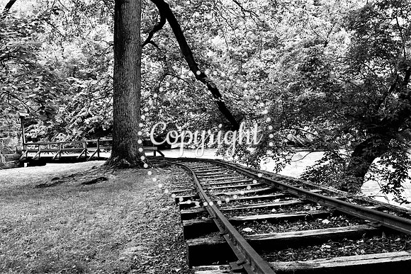 IMG_9328 Hagley Train Tracks BW