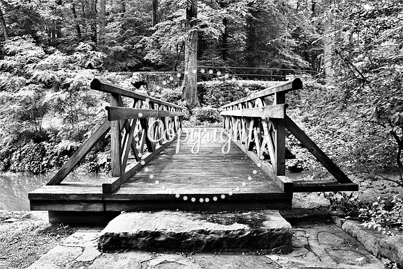 IMG_9342 Hagley Walking Bridge BW