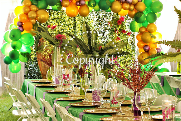 IMG_9826_Carnival Themed Decorations