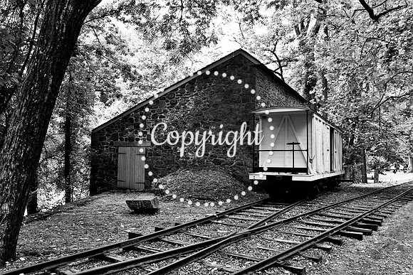 IMG_9330 Hagley Train & Tracks BW